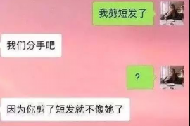 临武临武的要账公司在催收过程中的策略和技巧有哪些？